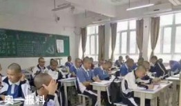 江苏职校爆料事件视频,揭开教育乱象的神秘面纱