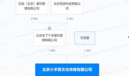 近日媒体爆料视频下载软件,热门视频下载软件背后的秘密