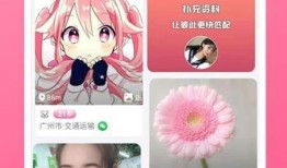 青秋最新爆料录音下载,最新爆料背后的真相与内幕