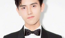 徐正曦娱乐爆料视频大全,揭秘明星幕后故事