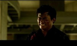 终极拳霸在线观看,激战巅峰，热血沸腾的拳击传奇