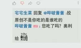 怎么看自己投的爆料视频,如何评估自己爆料视频的影响力