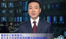 天涯爆料康辉视频大全,揭秘背后真相与幕后故事