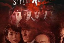 独刺在线观看,揭秘暗网世界的惊悚冒险之旅