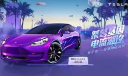 最新爆料特斯拉皮肤,揭秘未来汽车个性化定制新潮流