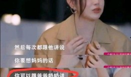 卓伟爆料陈晓劈腿视频,卓伟独家爆料，真相究竟如何？