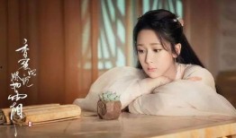 杨紫小说爆料视频合集在线观看,揭秘幕后故事与精彩片段