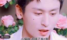 千禧日料爆料视频播放在线观看,揭秘幕后制作，在线观看精彩瞬间