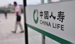 关于人寿公司热点爆料视频,内幕曝光，真相令人震惊！