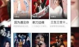 演员黑子爆料视频播放下载,揭秘幕后精彩瞬间