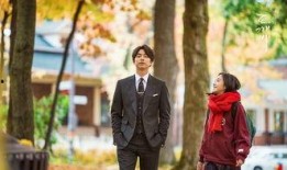 鬼怪在线观看韩剧tv,穿越时空的浪漫传奇，探寻生死轮回的奥秘