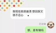 怎么看自己投的爆料视频,如何评估自己爆料视频的影响力