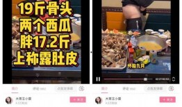 坚果品鉴爆料视频大全集,视频大全集深度解析