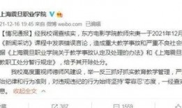 宋大姐网络爆料视频大全,揭秘娱乐圈幕后真相